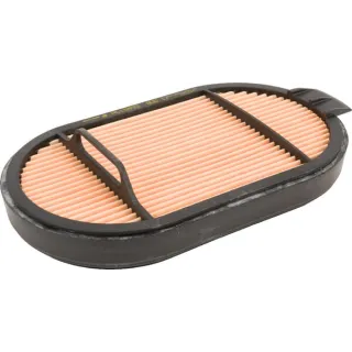 Air Filter  090016259 SDF