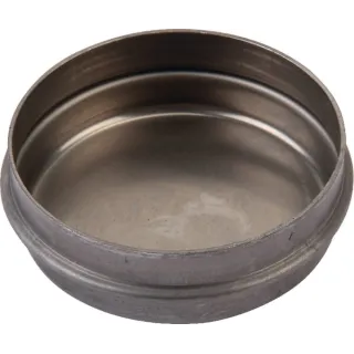 Hub cap  02381374 SDF