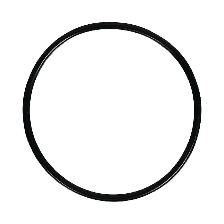 Seal  1610254M1 Massey Ferguson (AGCO)