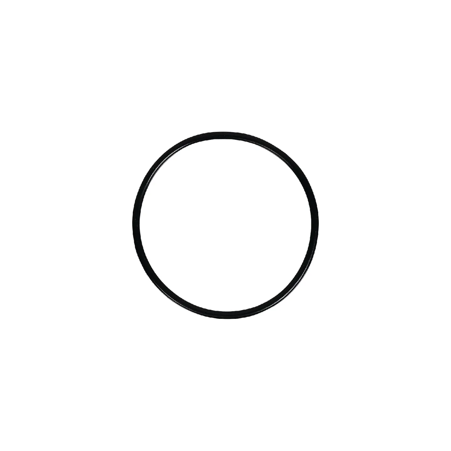 Seal  1610254M1 Massey Ferguson (AGCO)
