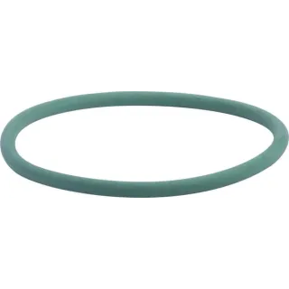 Water pump o-ring  17290081 New Holland
