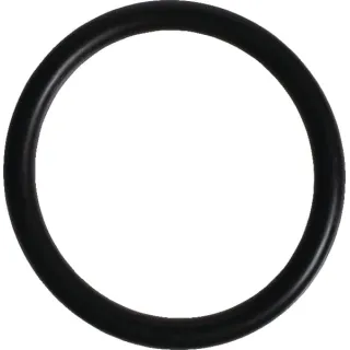 Seal  215300820 SDF