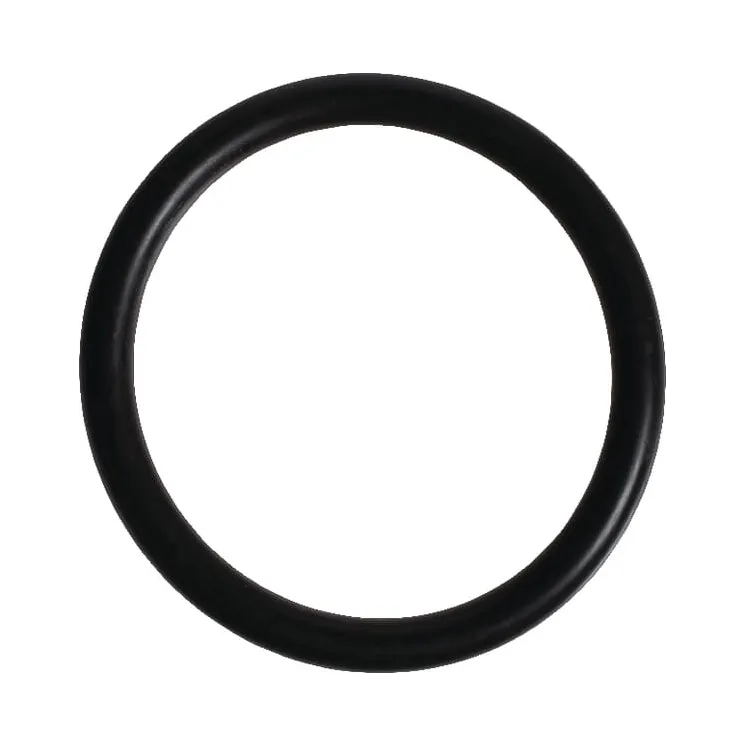 Seal  215300820 SDF