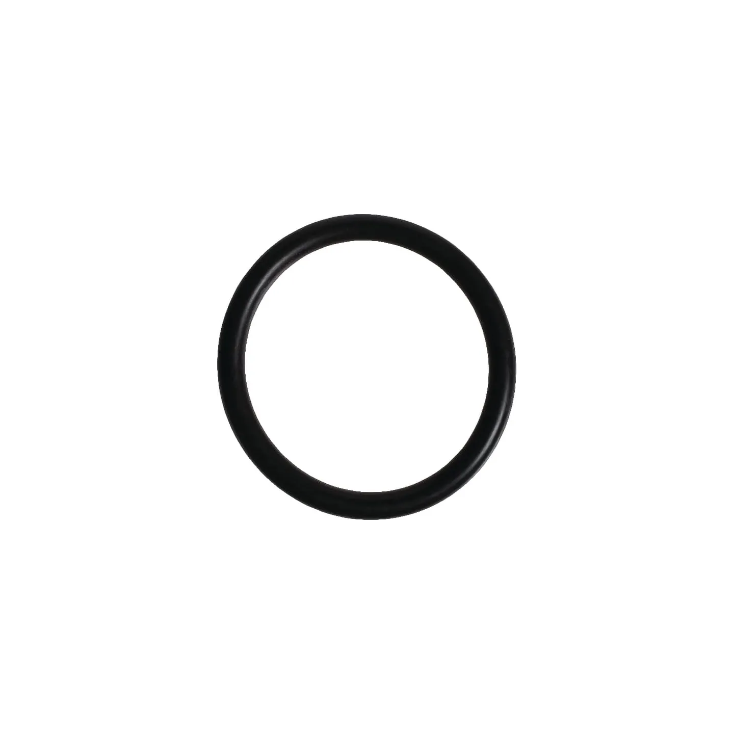 Seal  215300820 SDF