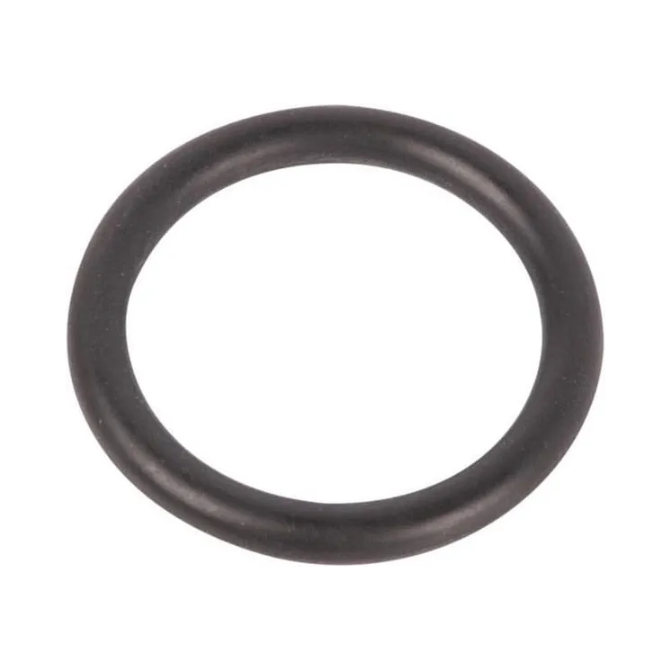 Brake O Ring  215300430 SDF