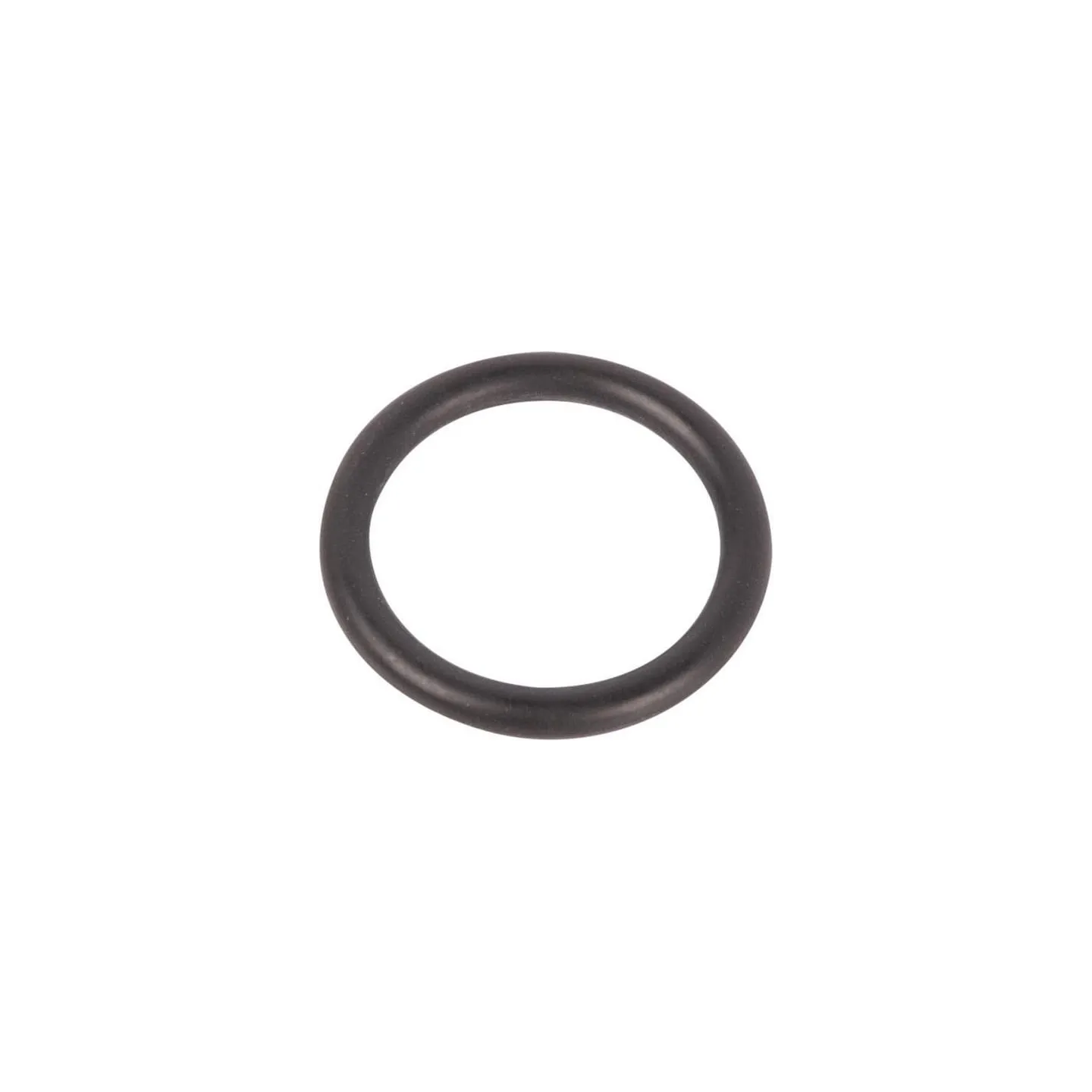 Brake O Ring  215300430 SDF