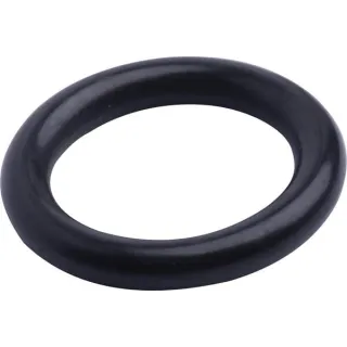 Sealing ring  215300280 SDF