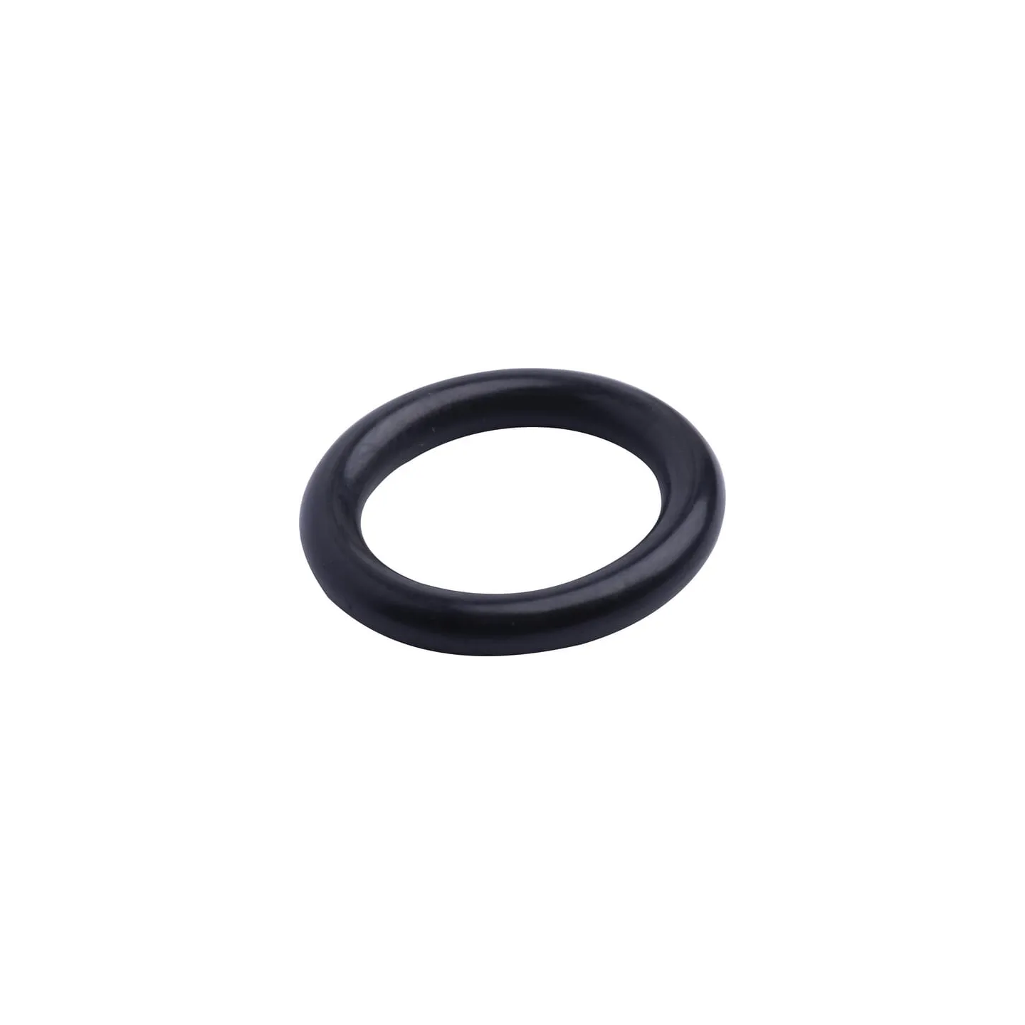 Sealing ring  215300280 SDF