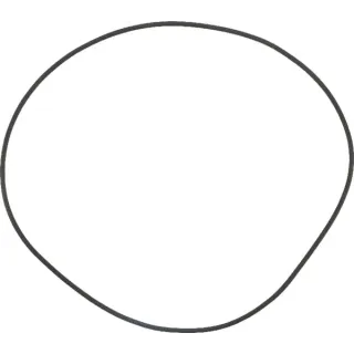 O-Ring  215302940 SDF