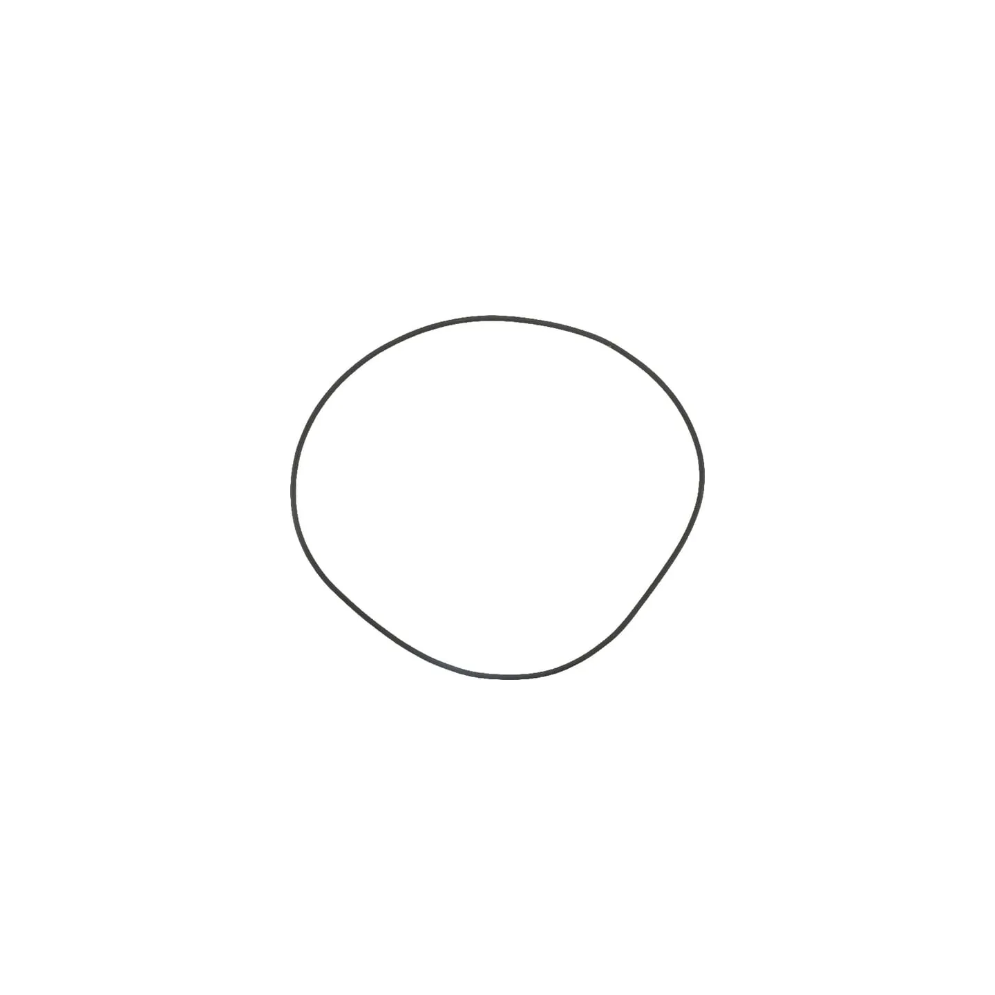 O-Ring  215302940 SDF