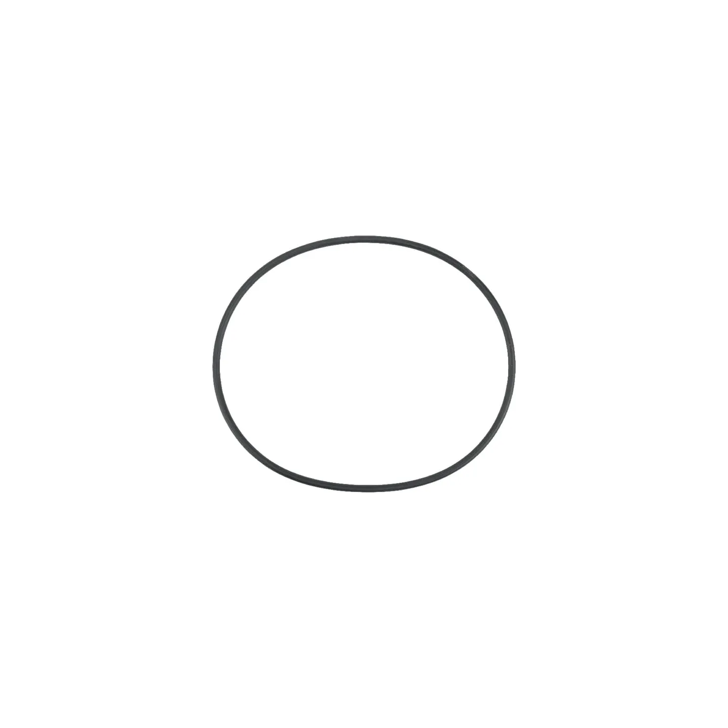 O-Ring  215302220 SDF