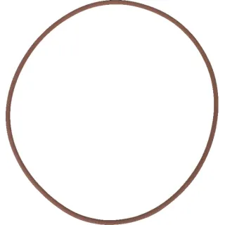 Brake O Ring  215322560 SDF