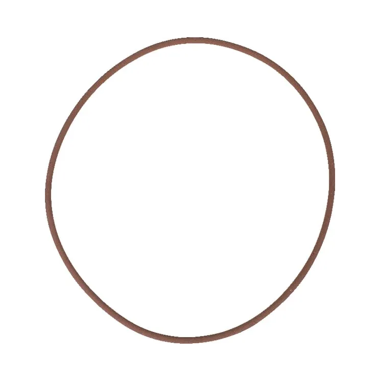 Brake O Ring  215322560 SDF