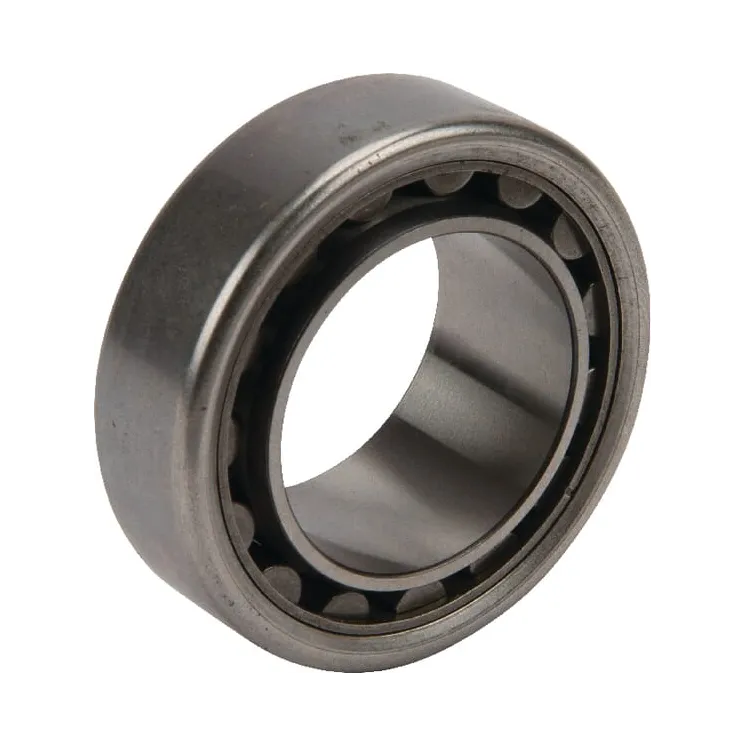 Bearing  229991640 SDF