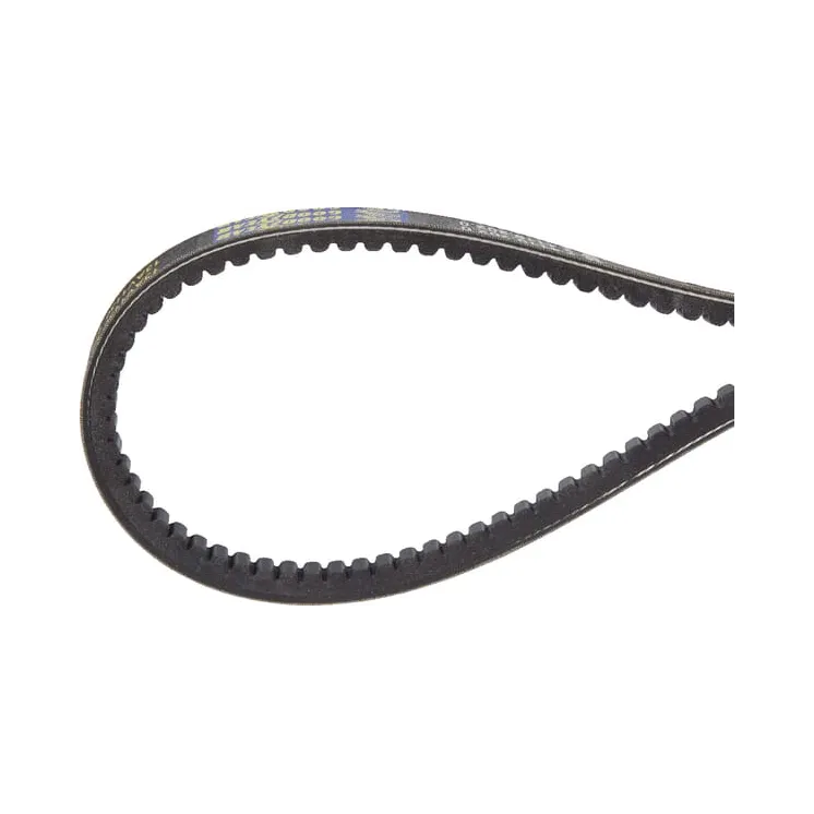 V-belt  241192020 SDF