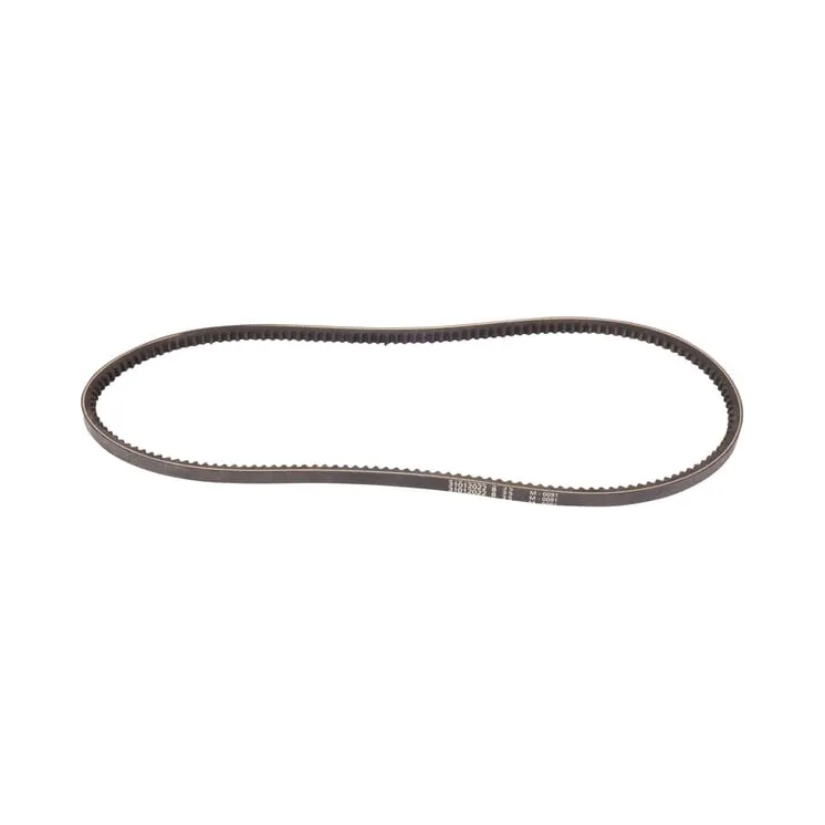 Belt  241190920 SDF