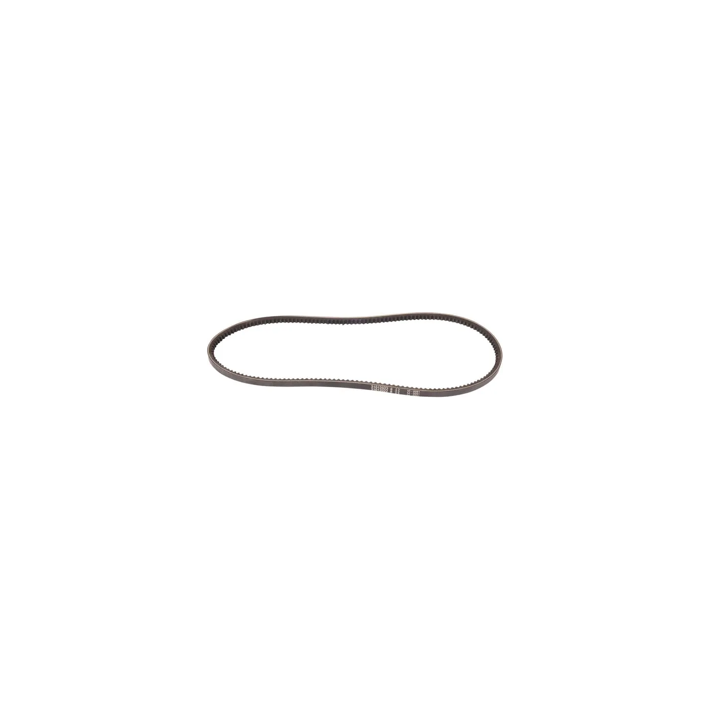 Belt  241190920 SDF