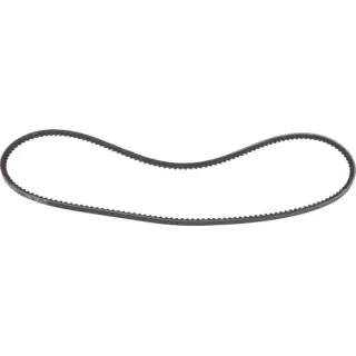 Belt  241191070 SDF