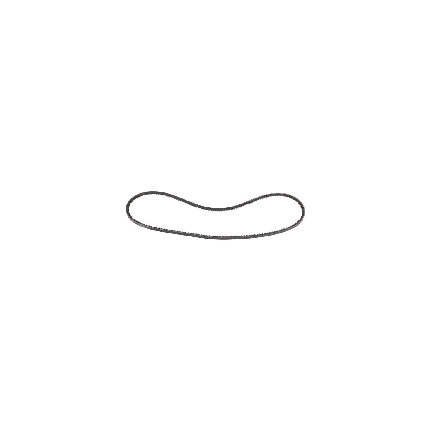 Belt  241191070 SDF