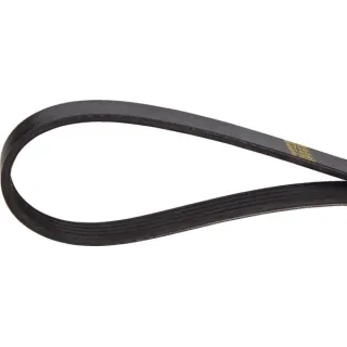 V-belt  241191880 SDF