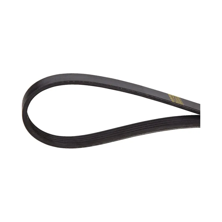 V-belt  241191880 SDF