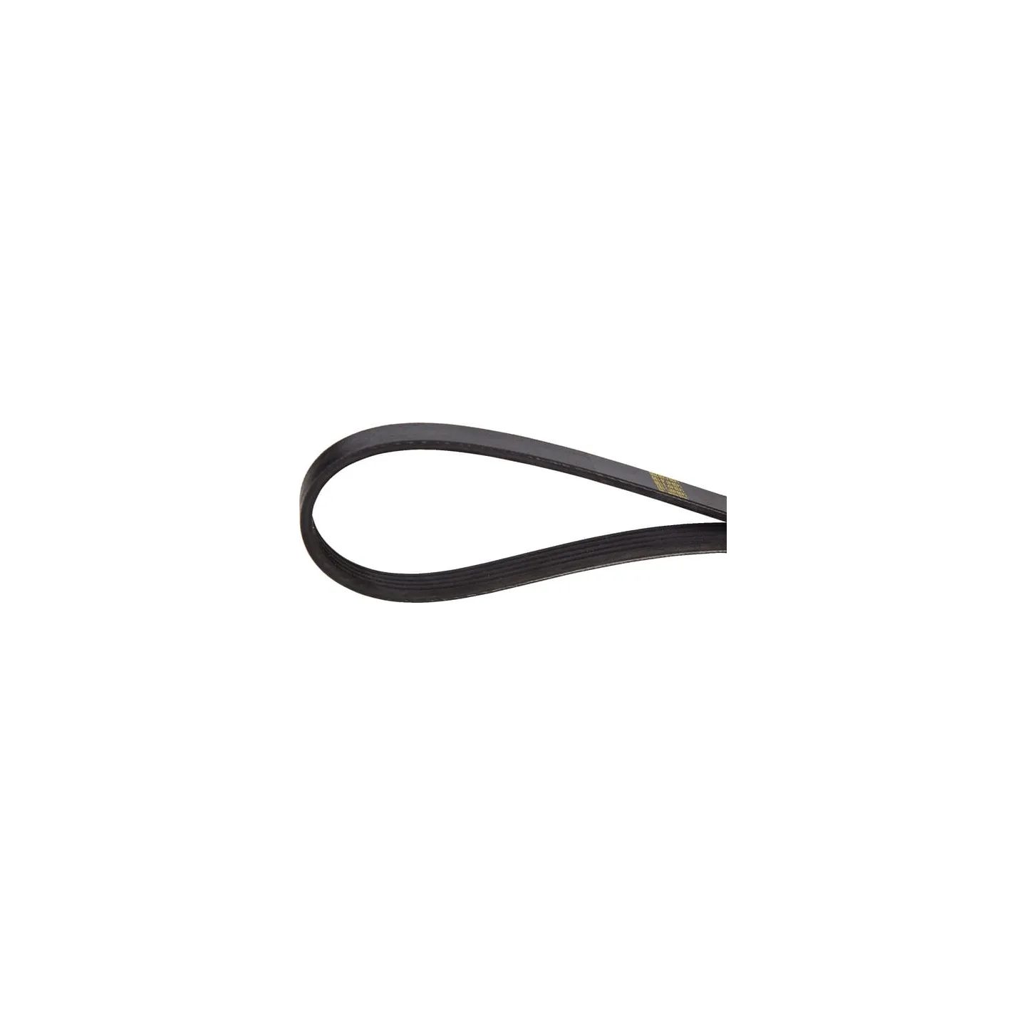 V-belt  241191880 SDF
