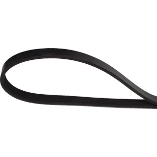 V-belt  241191870 SDF