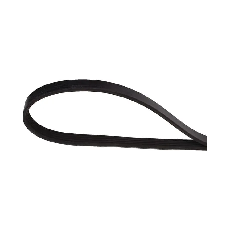V-belt  241191870 SDF