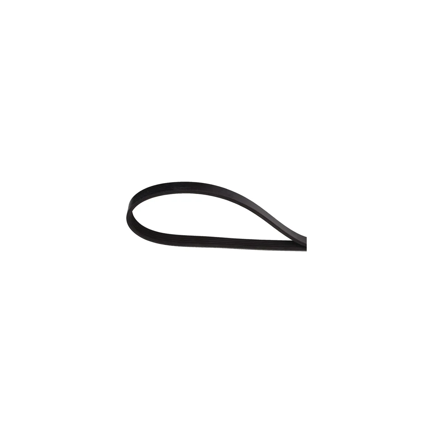 V-belt  241191870 SDF