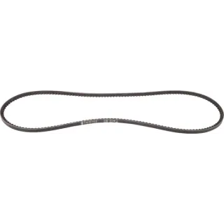 Belt  241191130 SDF