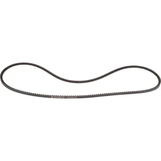 Belt  241190860 SDF