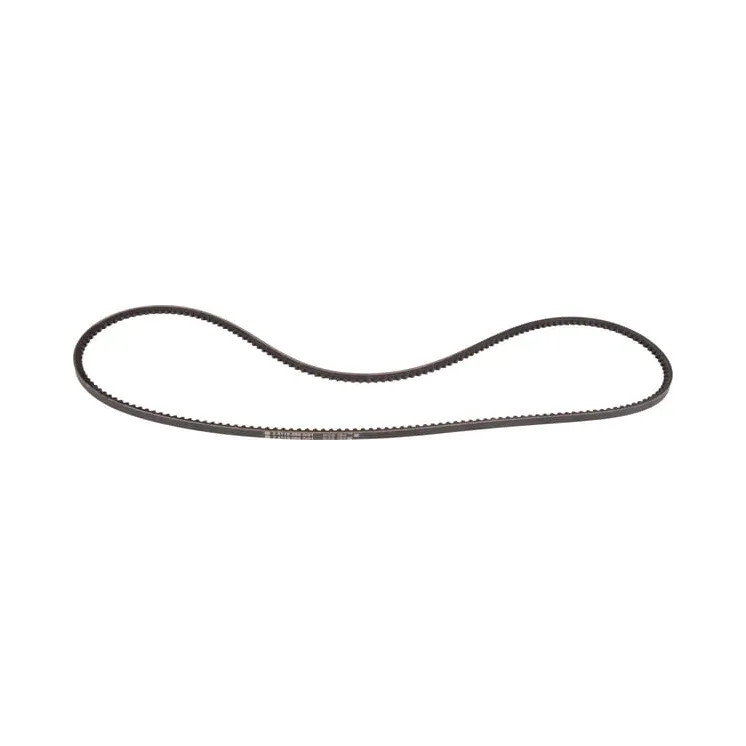 Belt  241190860 SDF