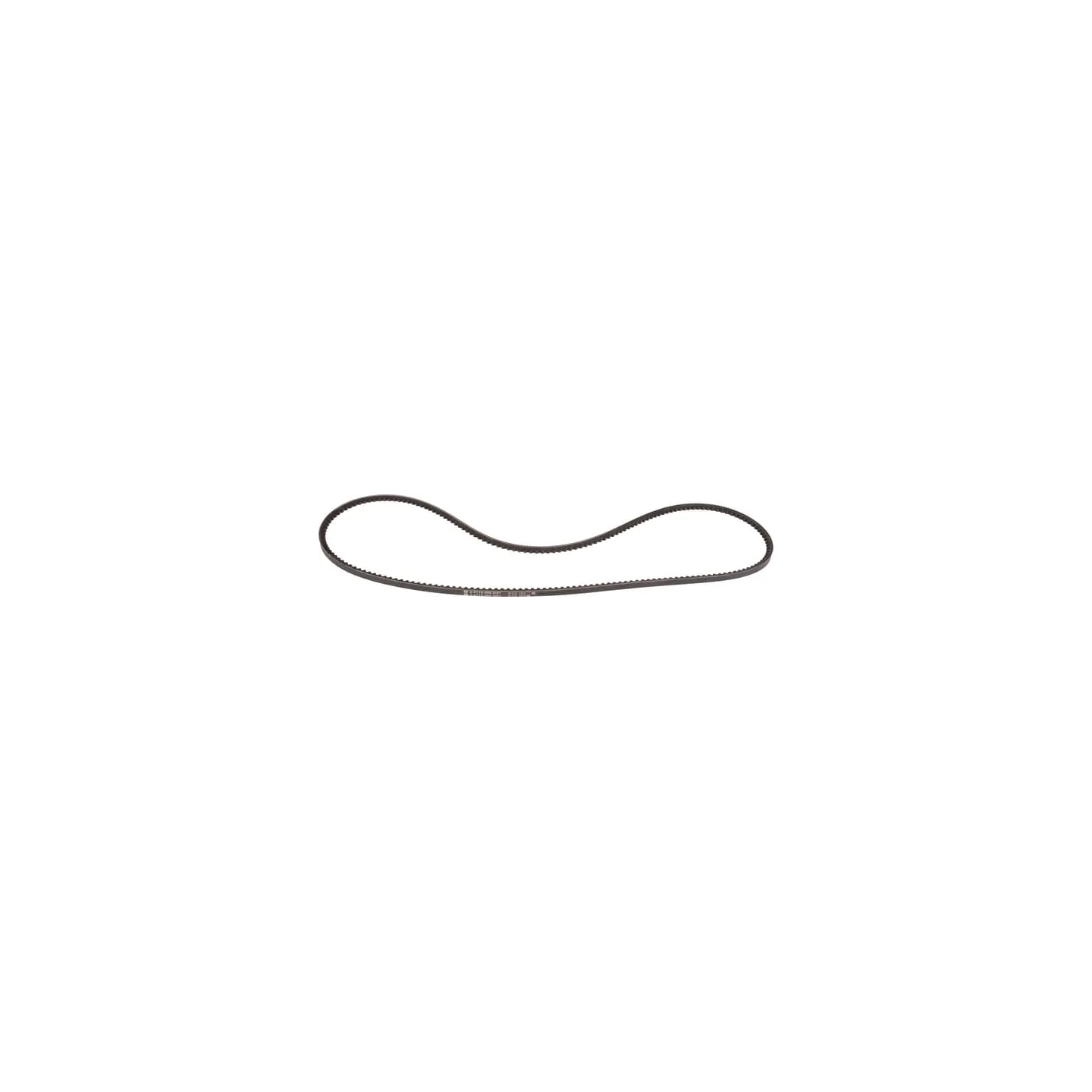 Belt  241190860 SDF