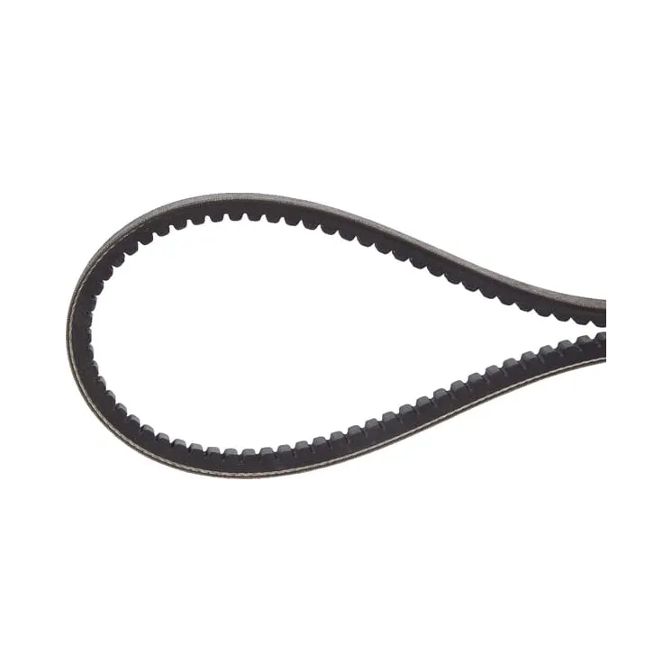 V-belt  241191590 SDF