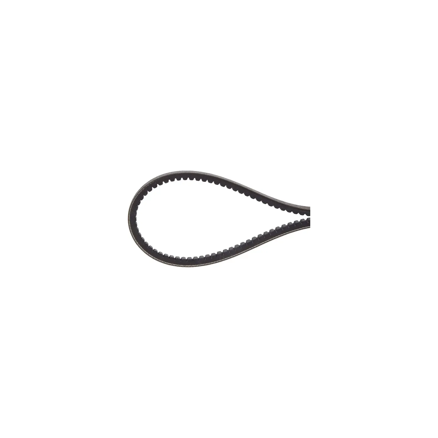 V-belt  241191590 SDF