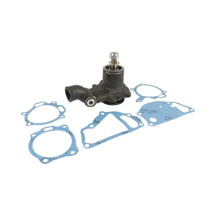 Water pump  3641832M91 Massey Ferguson (AGCO)
