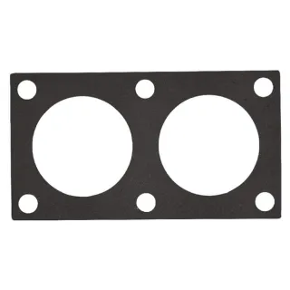 Thermostat Gasket  3638700M1 Massey Ferguson (AGCO)