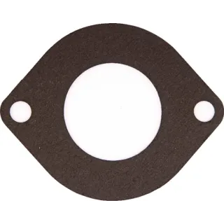 Termostata blīve 3641766M1 Massey Ferguson (AGCO) 745106M1