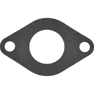 Water pump gasket  3638698M1 Massey Ferguson (AGCO)