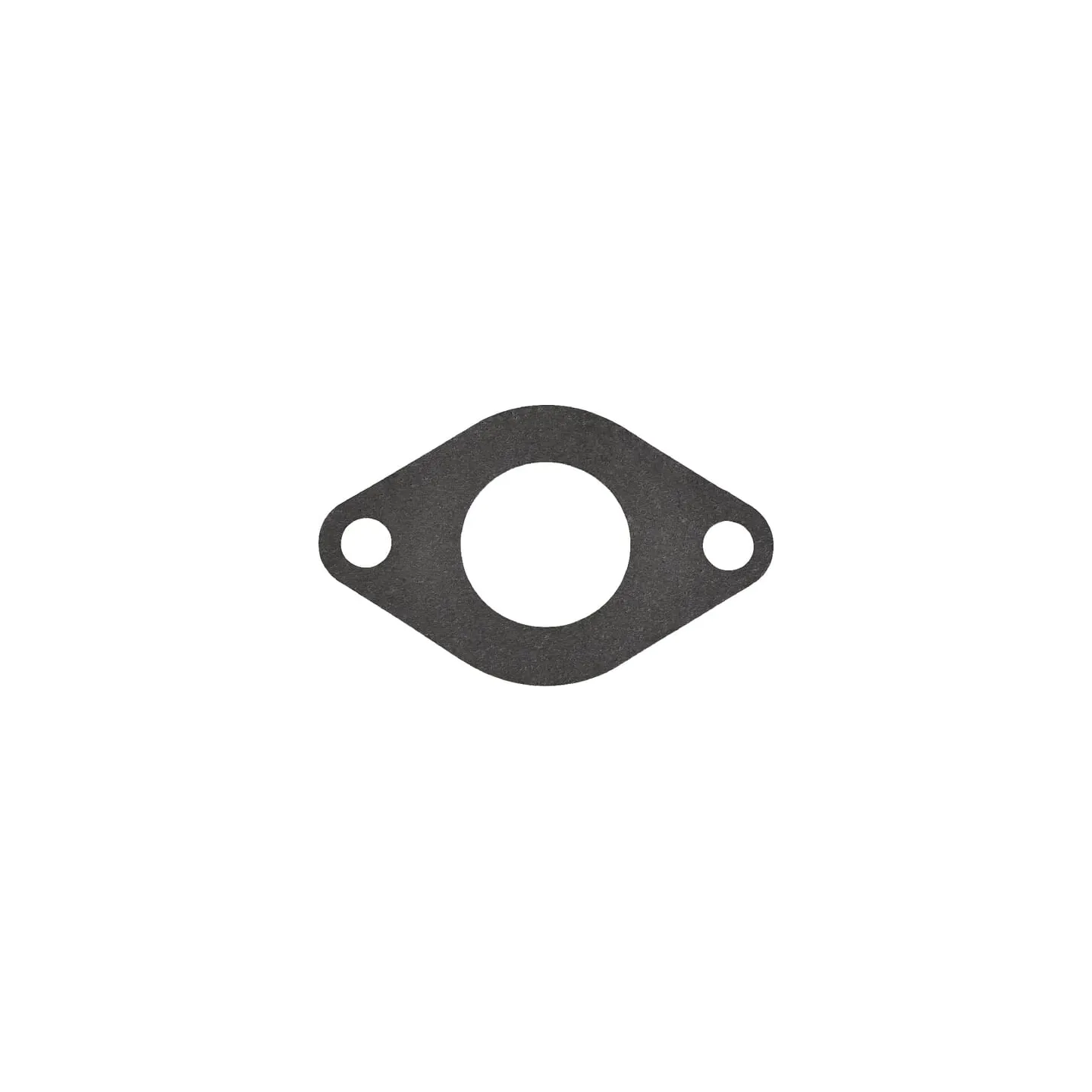 Water pump gasket  3638698M1 Massey Ferguson (AGCO)