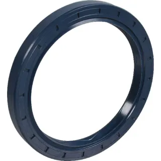 Oil Seal  3619346M1 Massey Ferguson (AGCO)
