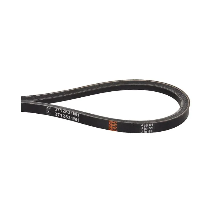 V-belt  3712531M1 Massey Ferguson (AGCO)