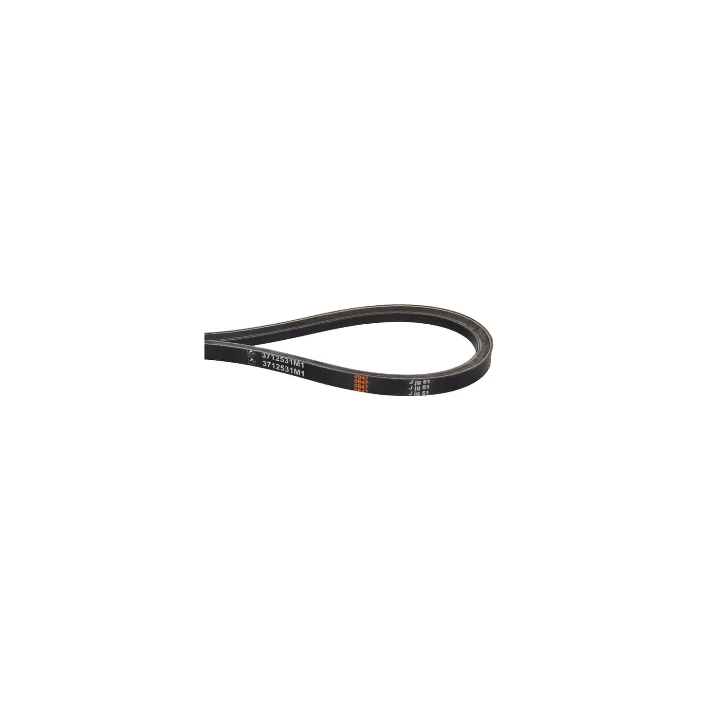 V-belt  3712531M1 Massey Ferguson (AGCO)