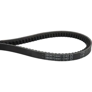 Ķīļsiksna 3808704M1 Massey Ferguson (AGCO)