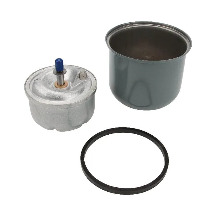 Filter Unit  3800350M91 Massey Ferguson (AGCO)