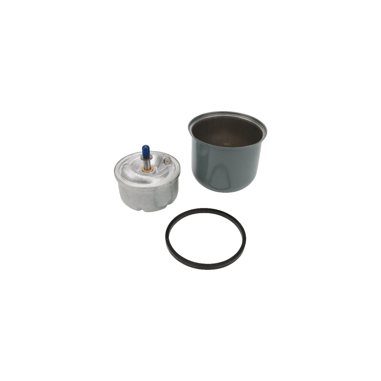 Filter Unit  3800350M91 Massey Ferguson (AGCO)
