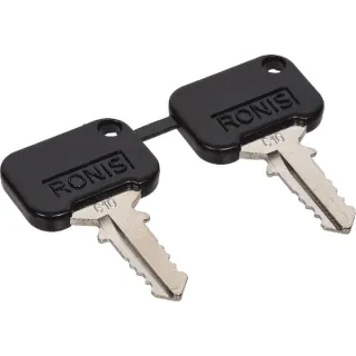 Key  3902584M91 Massey Ferguson (AGCO)