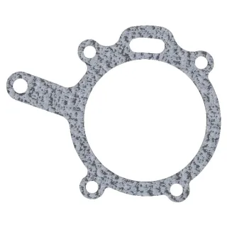 Water pump gaskets  4222457M1 Massey Ferguson (AGCO)