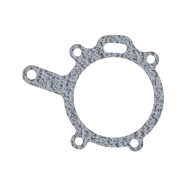 Water pump gaskets  4222457M1 Massey Ferguson (AGCO)