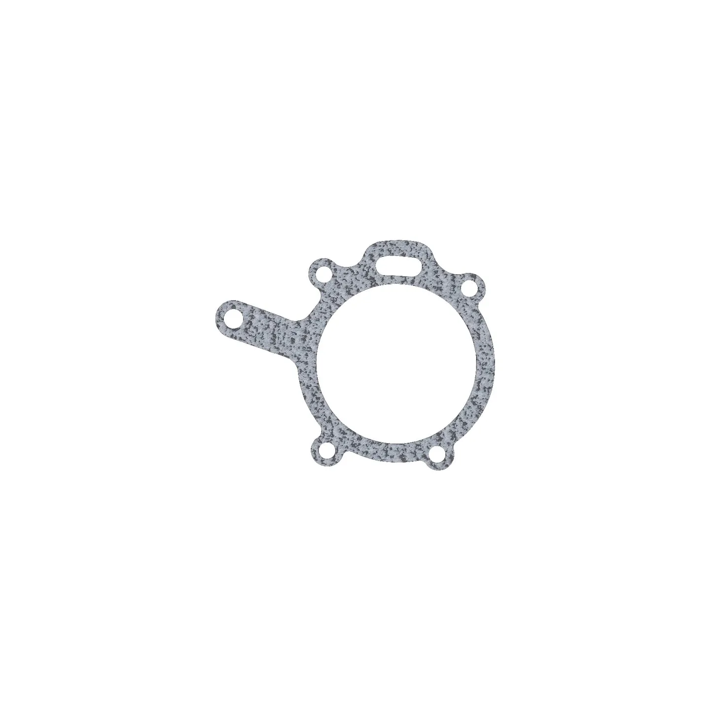 Water pump gaskets  4222457M1 Massey Ferguson (AGCO)
